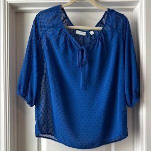 Blue Sheer Women's Top
